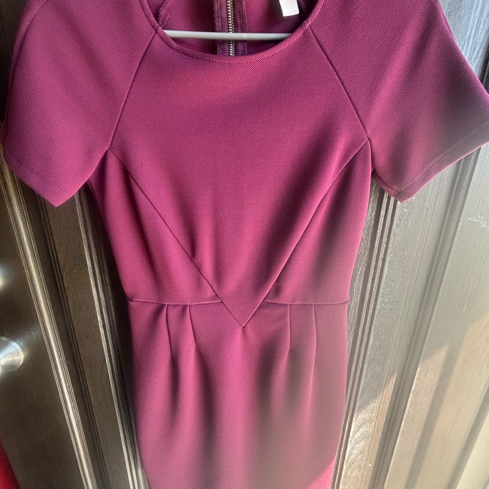 Elegant Magenta Dress